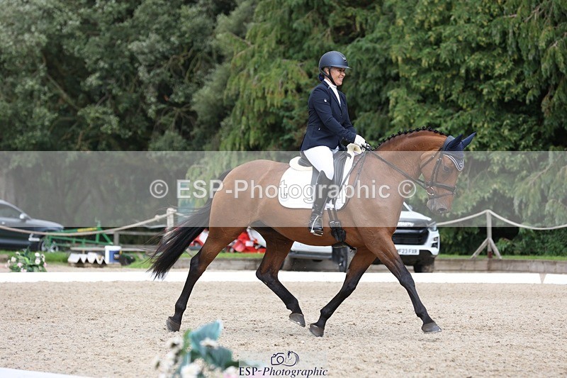 230812-150208-05029 - Cls 5 Novice Bronze 15.00 to End