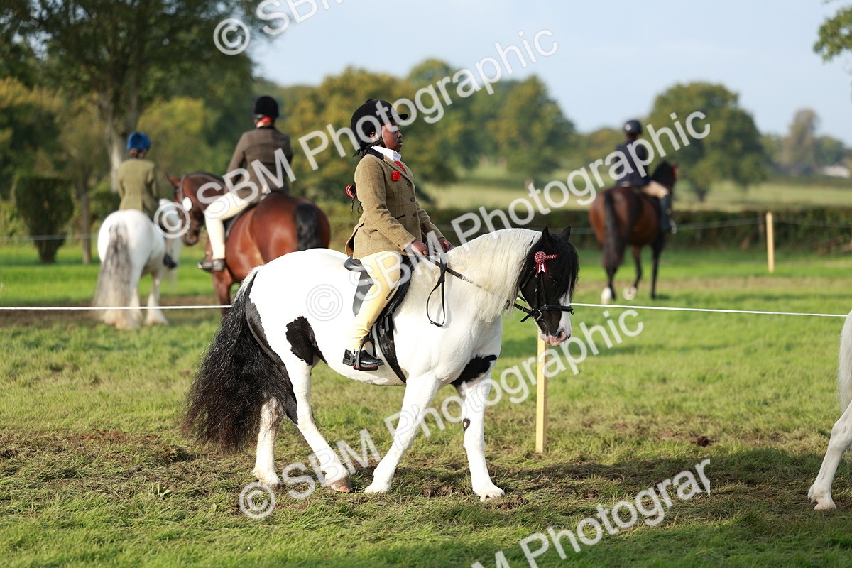 SBM_56257 - S39 - Starters In Hand Showing