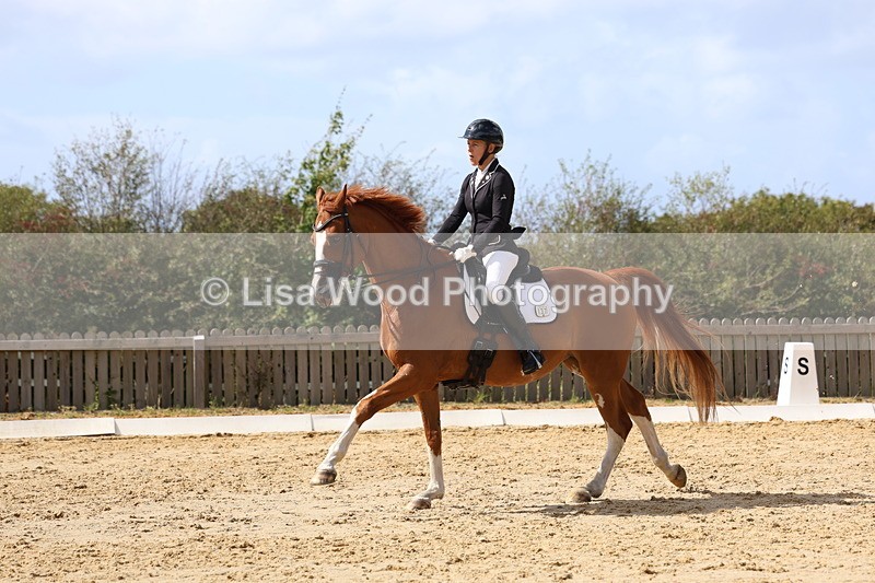 3E7A4837 - Class 11: Elementary Music