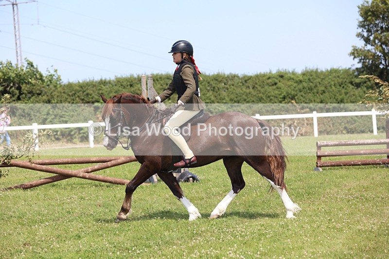 JPP_2422 - Class 21: Working Hunter 60cm