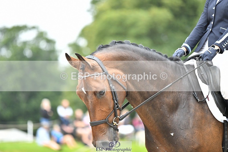 230812-124800-04221 - Cls 6 Novice Silver 12.10 to End