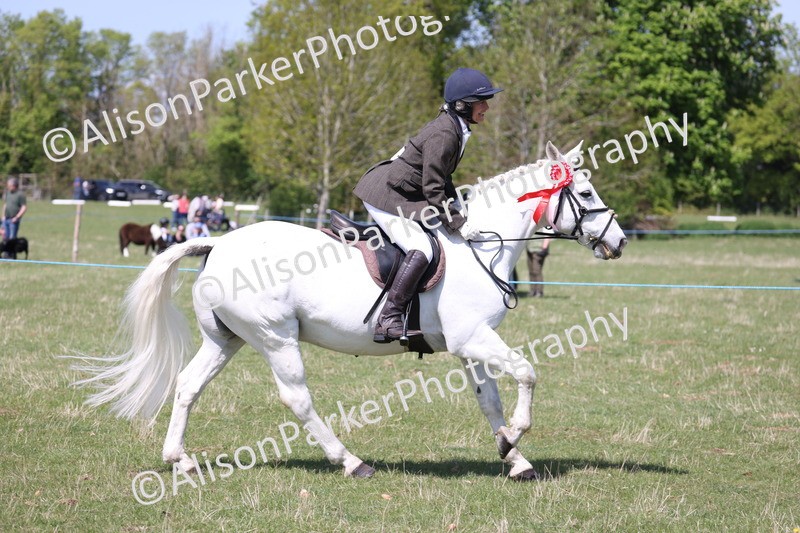 20250427-3312 - Class 33 - Best Pony 14.2hh and Under