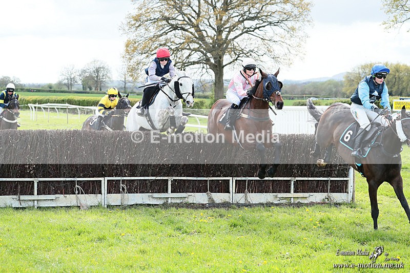 PtP 180426 789 - Worcestershire Hunt PtP Chaddesley Corbett 18/04/26