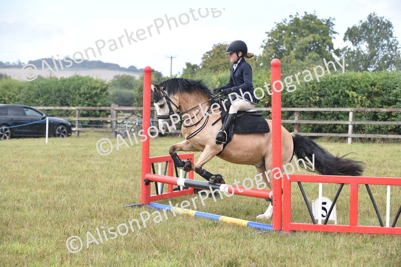 20250831-1881 - Class 9 - Absolute Novice 45cm