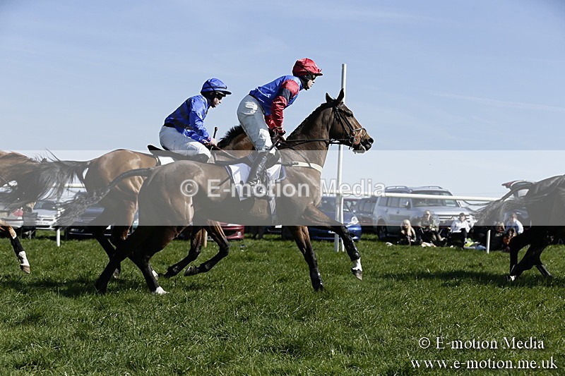 PtP 260317 190 - Mendip Farmers Point-to-Point Ston Easton 26/03/17