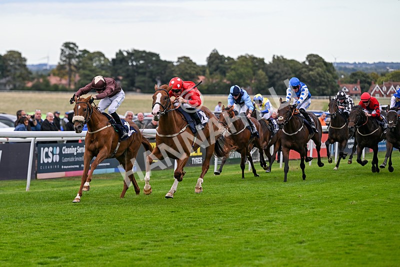 160926-Race 4-Woodvale-0650 - Race 4 3.48pm EBF Restricted Maiden Stakes
