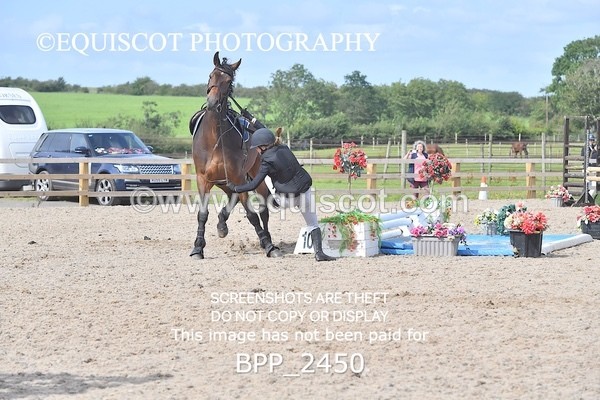 BPP_2450 - DERBY CLASS 7 - 80CM