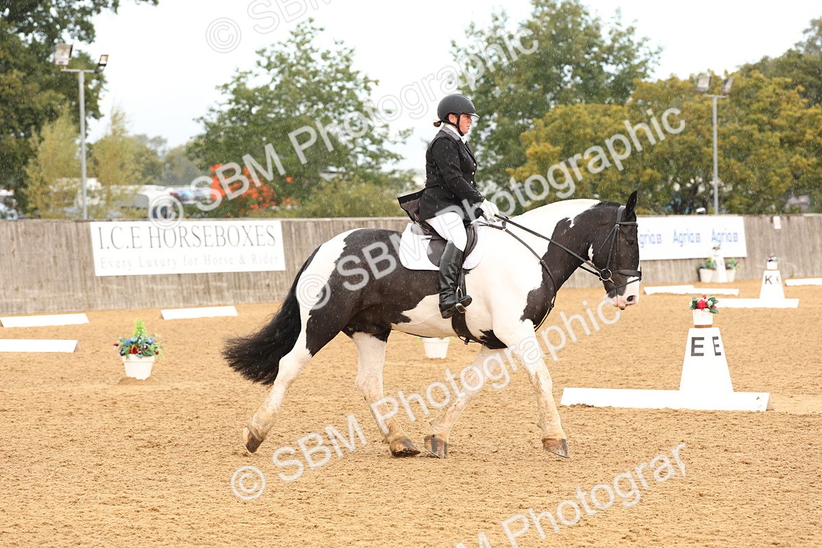 SBM_40605 - D6 - Small Tour Championship Intro 4