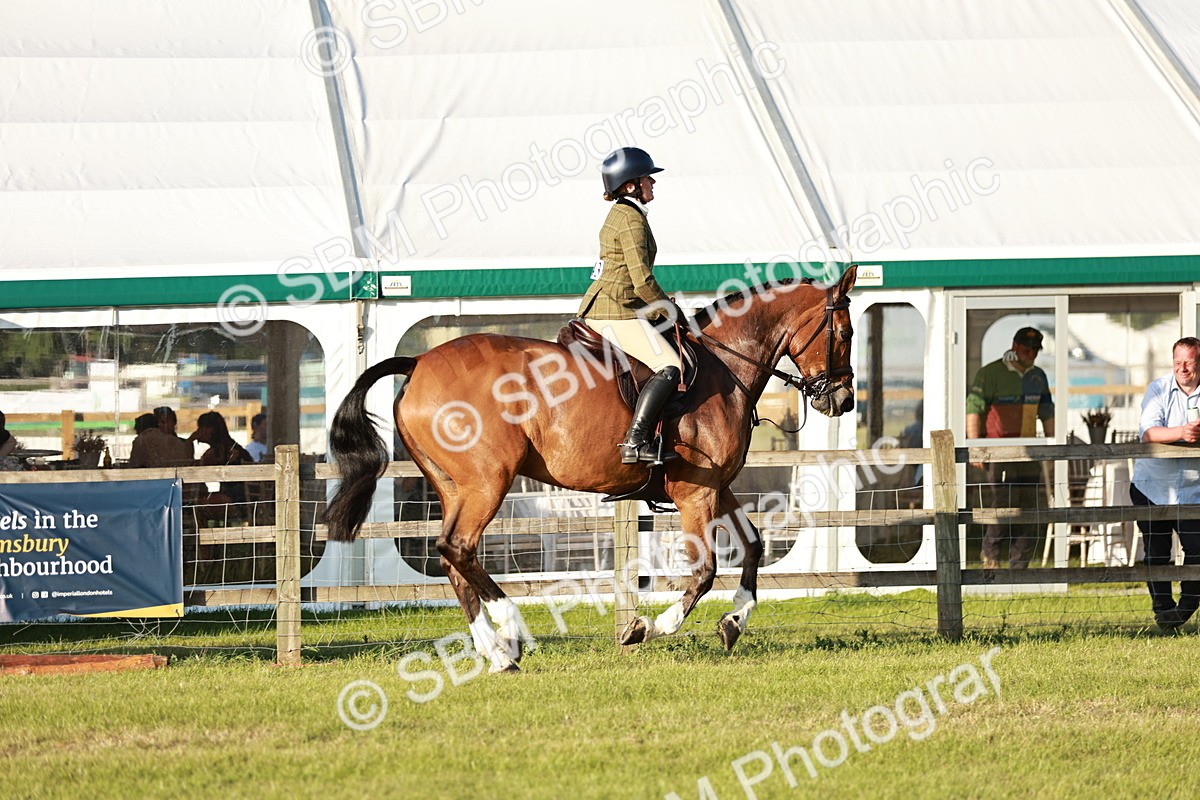 SBM_20462 - Class 117-119 - Sport Horse Working Hunter