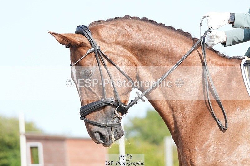 250815-101936-00396 - 009-Rebecca.HeavenAfortinius