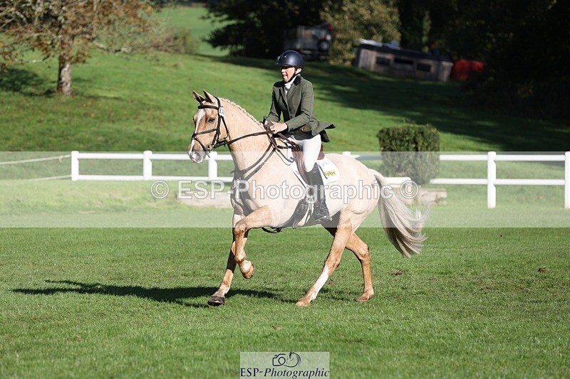 231022-104312-24693 - 612-CORRIEVIEW.MERLIN.MAGIC-Jane.Rogers-TrotUp+SJ