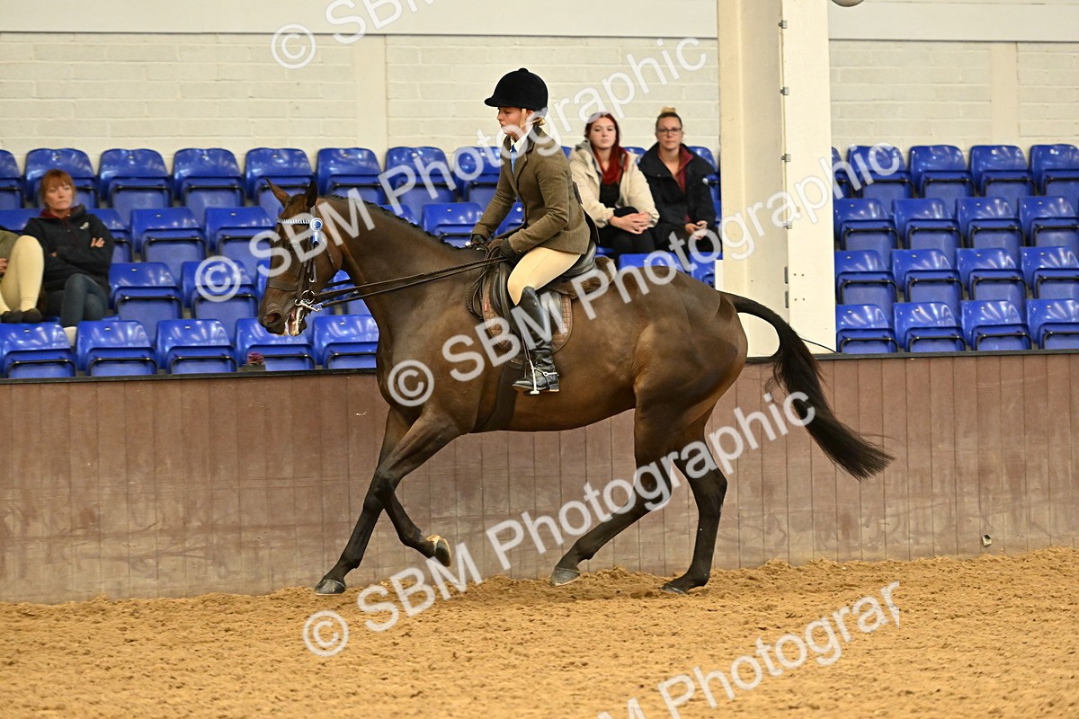 SBM_002008 - Class 24 - BSHA Ridden Racehorse to Show Horse