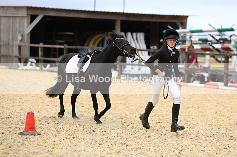 3E7A9672 - Walk trot run