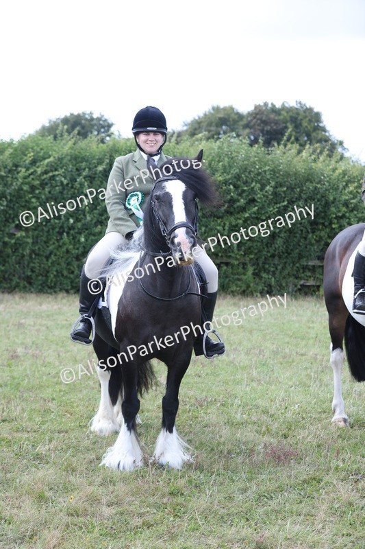 20250831-4360 - Class 20 - Ridden Coloured