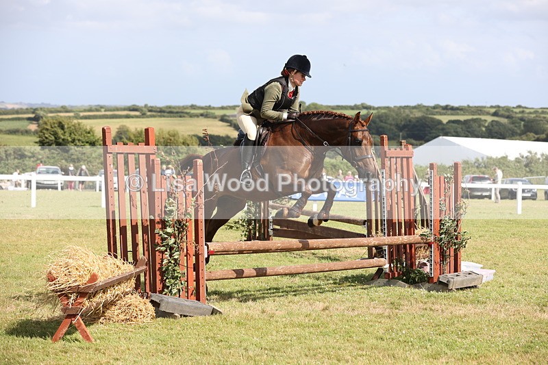 JPP_2552 - Class 20: Working Hunter 70cm