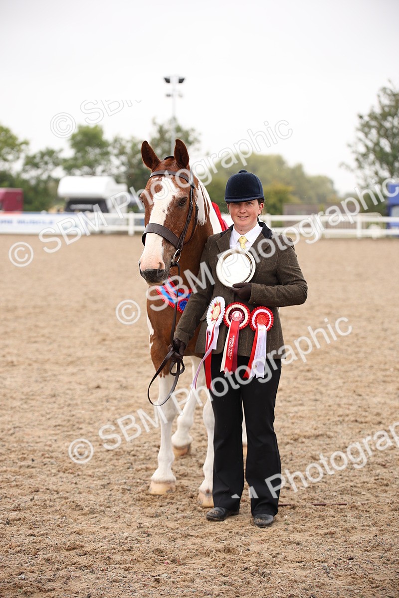 SBM_20142 - Class 702 - IH  Show Horse Pony