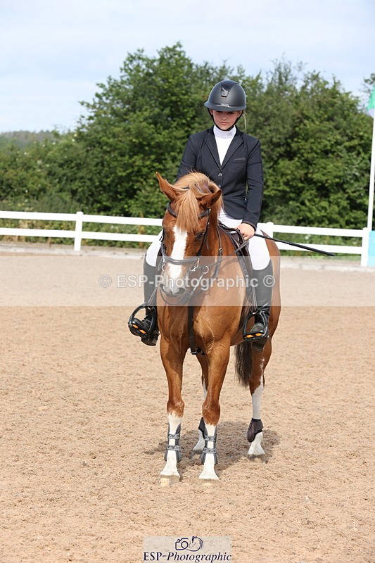 240629A-091704-02899 - Cls 16 British Novice and 80cm Open