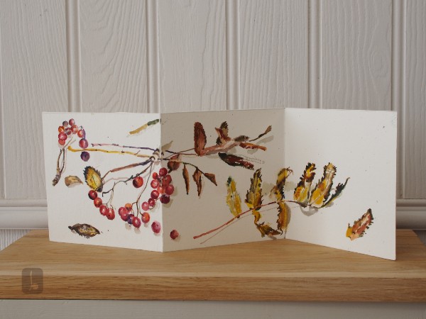 Rowan in September - Summer Light