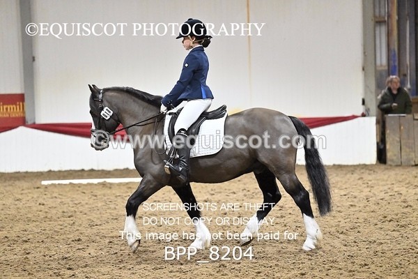 BPP_8204 - INTRO 3
