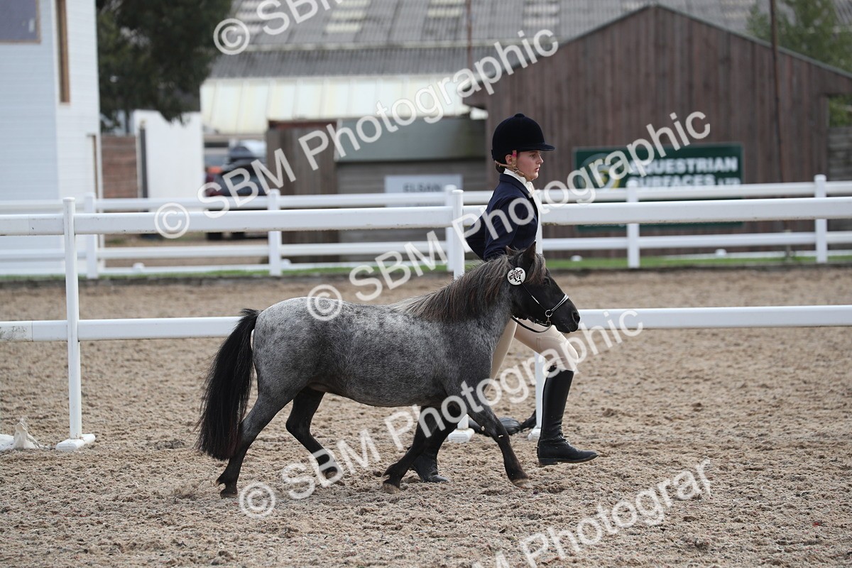 SBM_23288 - Class 606 - 2025 Area - IH Pre Vet