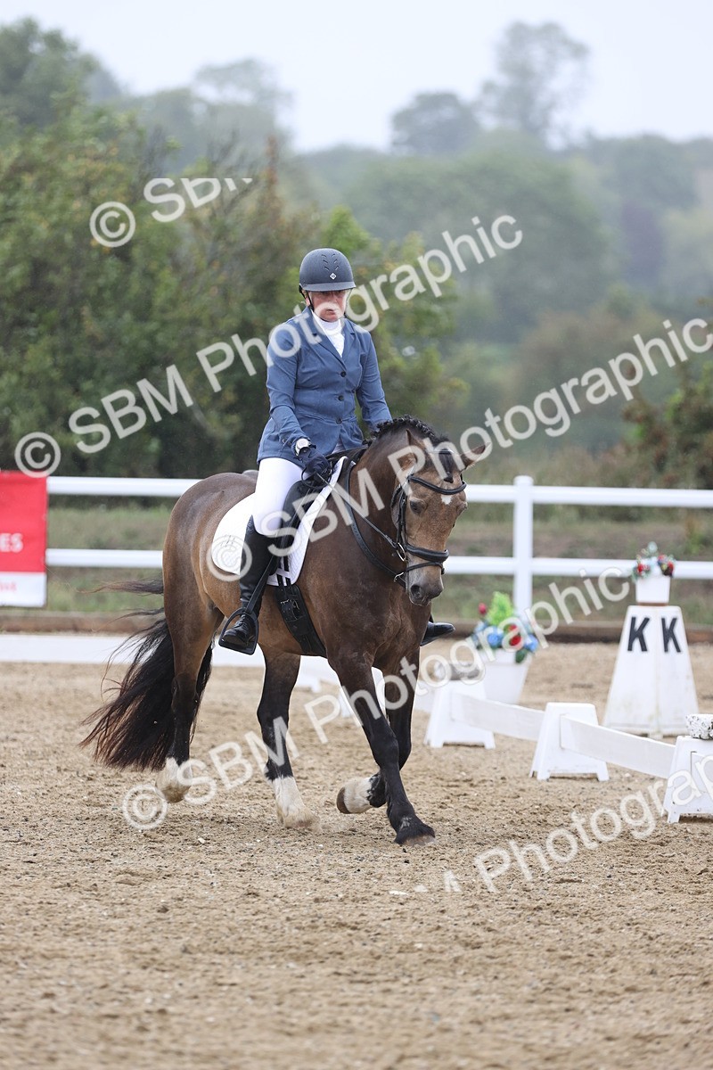 SBM_004444 - Class 9 - Novice 3 Champs