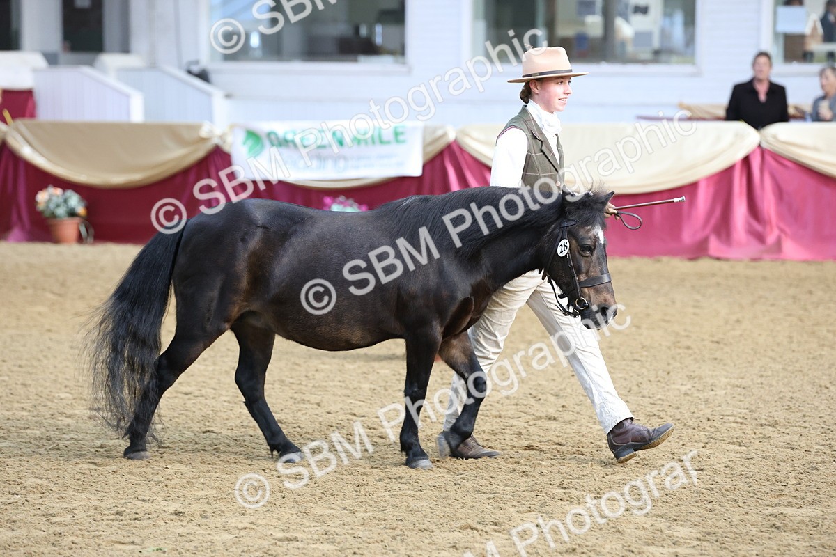 SBM_21886 - Class 901 - Supreme Final - IH  Diamond