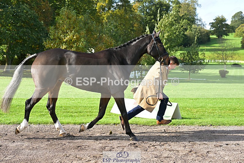 241023-130837-00093 - 005-Matthew.Heath-DIEGOS.ROSE