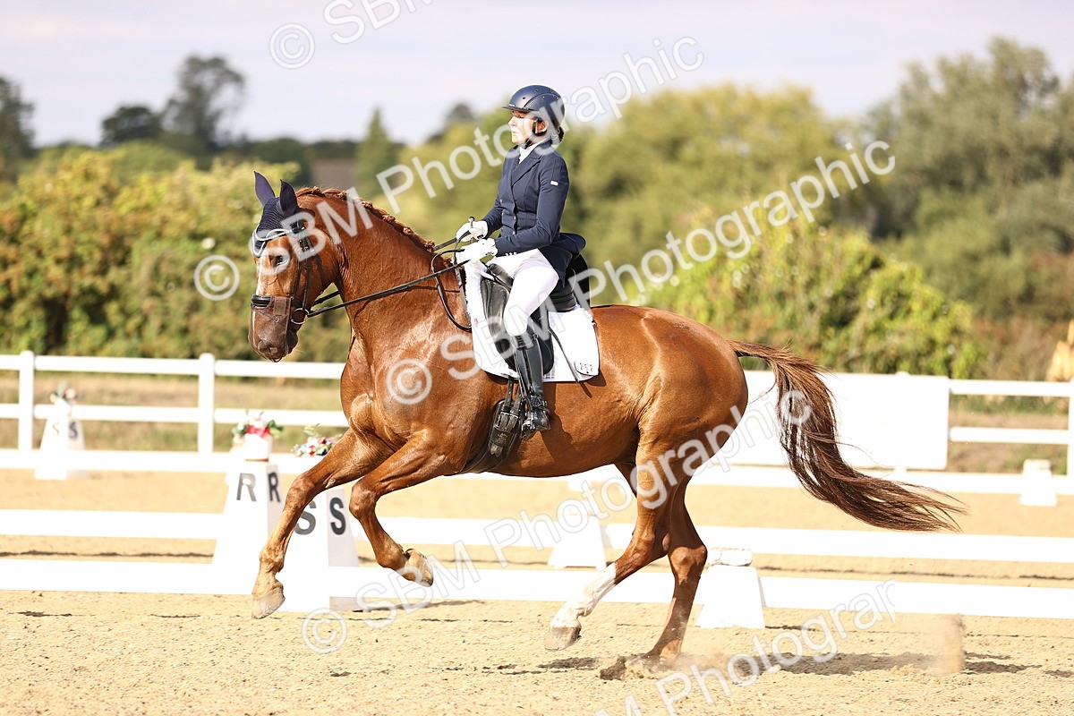 SBM_015511 - Class 11 - FEI PSG