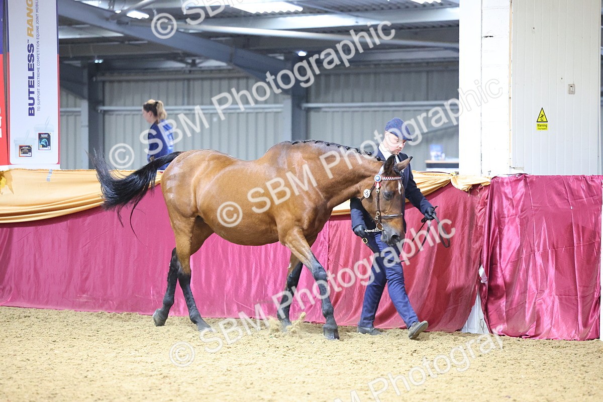 SBM_19582 - Class 901 - Supreme Final - IH Diamond