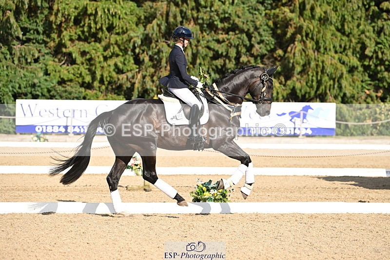 250808A-170450-02254 - Preliminary GOLD Presentations