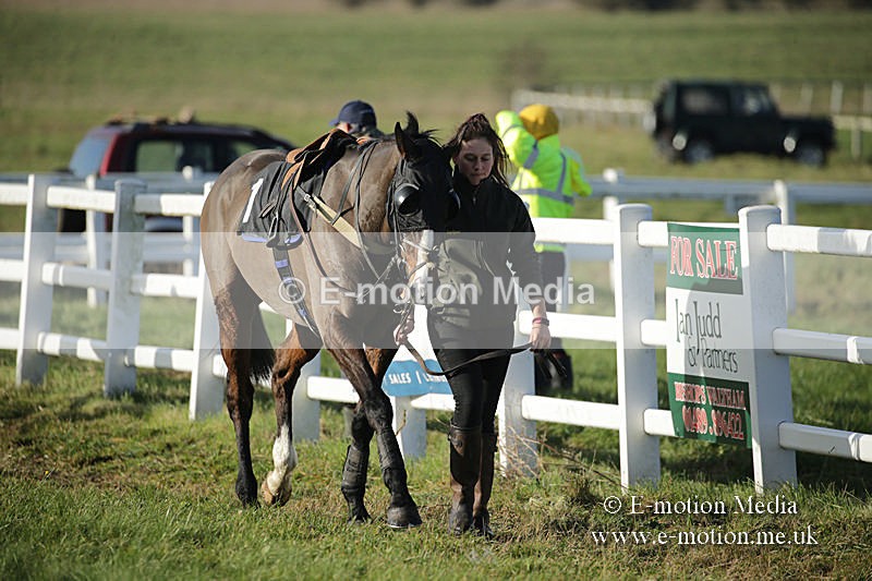 PtP 011219-0035 - Hursley Hambledon Hunt Point-to-Point 01/12/19