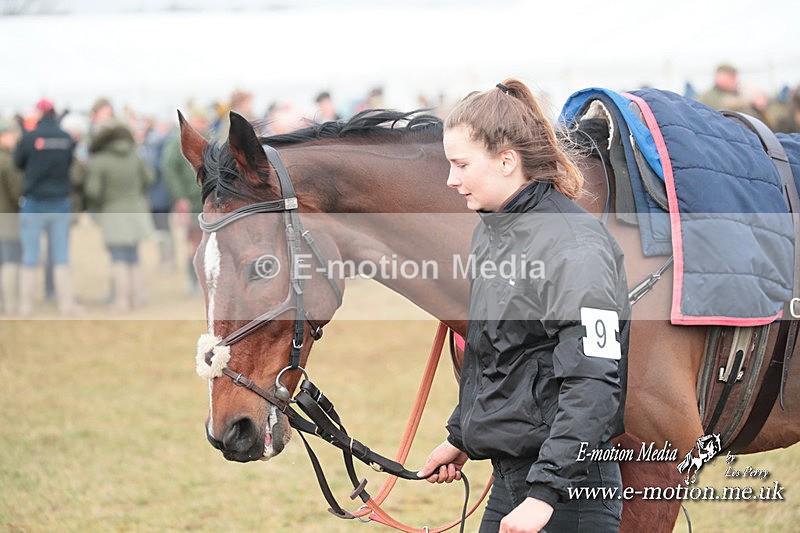 PtP 210124 587 - Cocklebarrow Races Point-to-Point 21/01/24