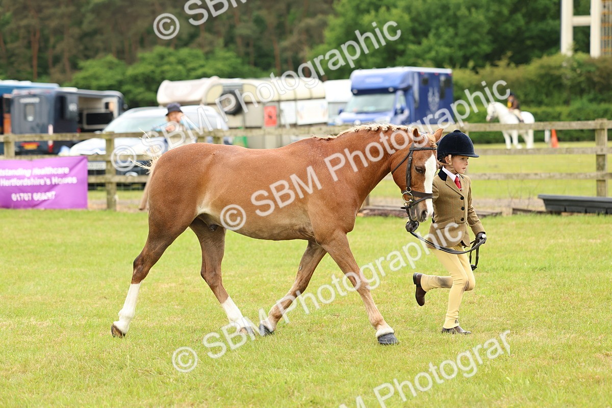 SBM_10265 - Class 44-45 - LIHS BSPS Open Nursery and Cradle Stakes