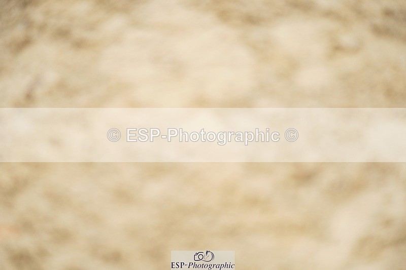 240309-105446-00196 - Cls 01 AE 70cm