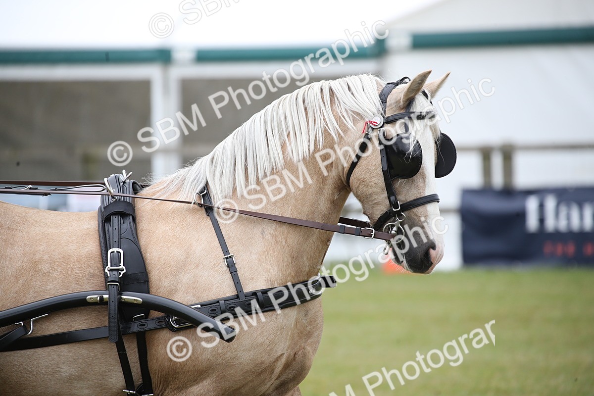 SBM_05668 - Class 12-15 - HOYS Private Driving