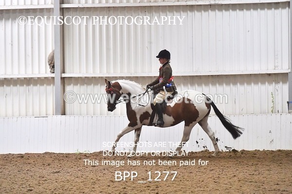 BPP_1277 - RING 2