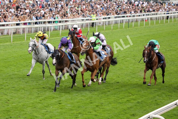 yr24072021r5-49 - Race 5 4.25pm Sky Bet Best Odds Guaranteed Stakes