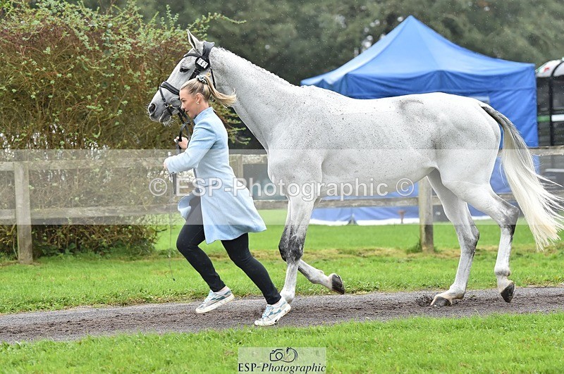 231018-123050-00342 - 042-WKD.COOLEY-Chiara.Grimaldi-TrotUp