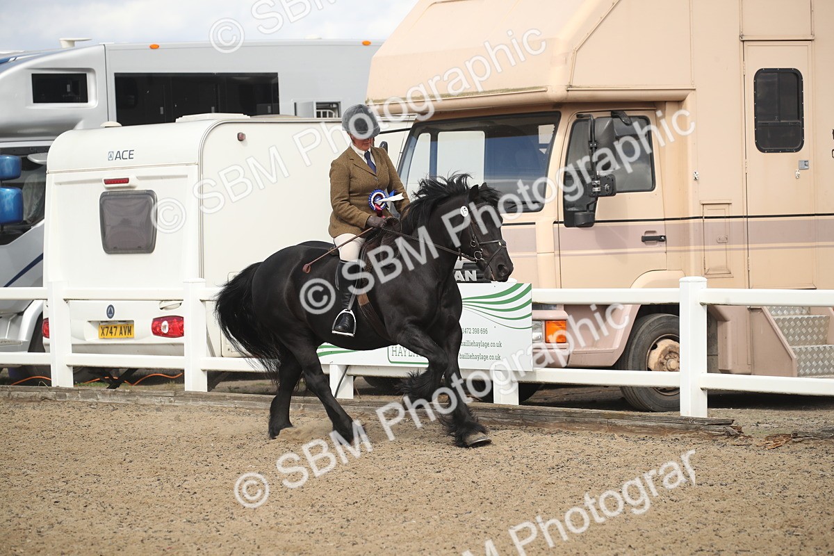 SBM_14610 - Class 505a - M&M Working Veteran - 50cm (15-19)