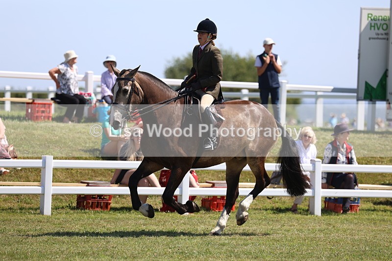 3E7A7579 - Rising Star Ridden Championship