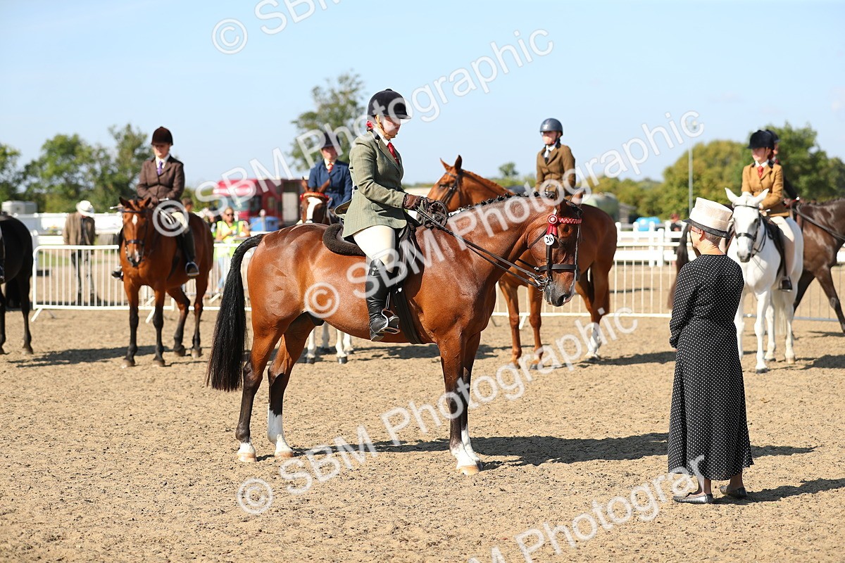 SBM_02324 - Class 43 Ridden Competition Horse/Pony