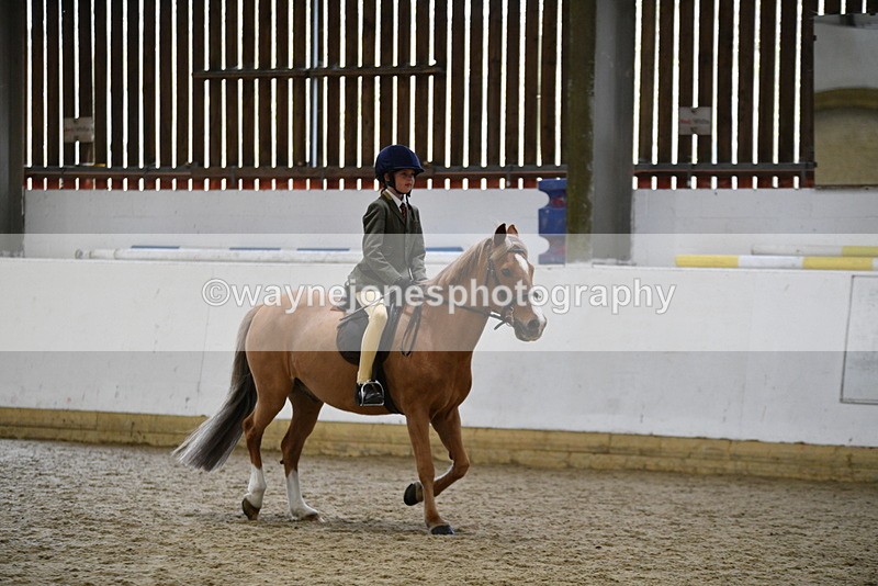 WJ5_6813 - Class 10 Childs Pony