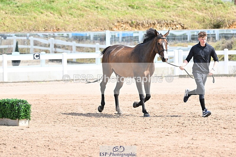 240717A-151901-02745 - Trot Up 3pm to 4pm