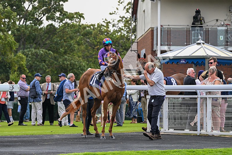 140726-Zivas Star-1238 - Race 5 16.23pm Connexin Gigabit Gallop Handicap