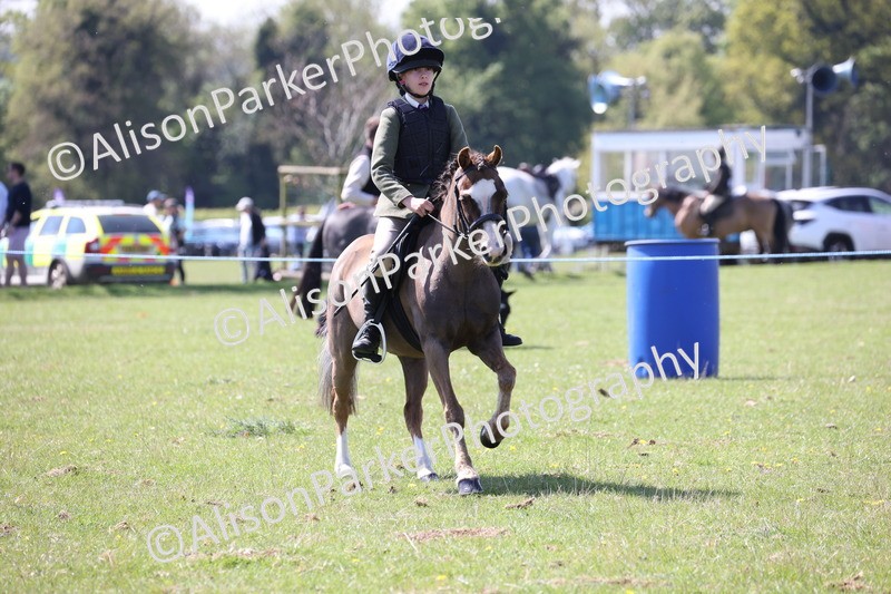 20250427-3286 - Class 33 - Best Pony 14.2hh and Under