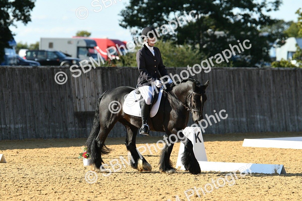 SBM_28447 - D16 - Small Tour Championship - Novice 28