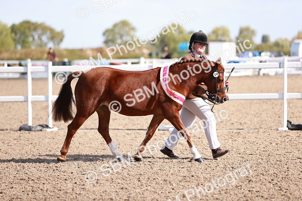 SBM_22736 - Class 704 - IH  Rescue