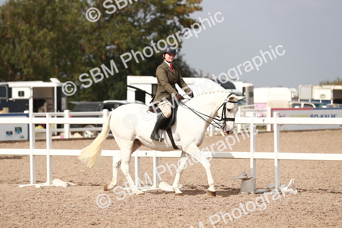 SBM_14794 - Class 212 Ridden Hunter - Small