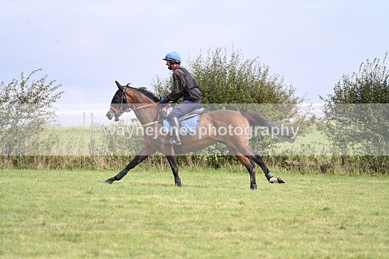 WJ7_6916 - Time 12:18 to 12:59