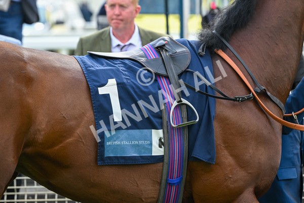 160524-Race 5-Big Evs-6195 - Race 5 4.15pm  British Stallion Studs EBF Westow Stakes